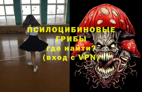 гидра Карпинск