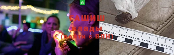 гидра Карпинск