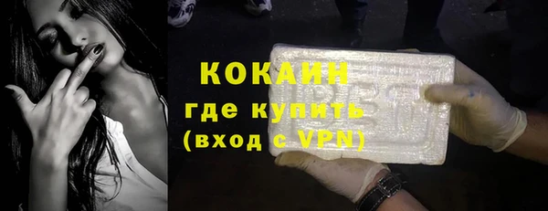 гидра Карпинск