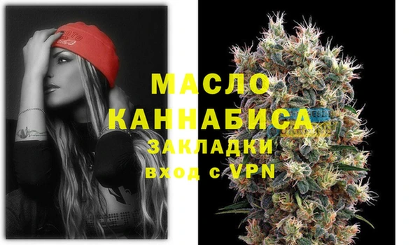 гидра Карпинск