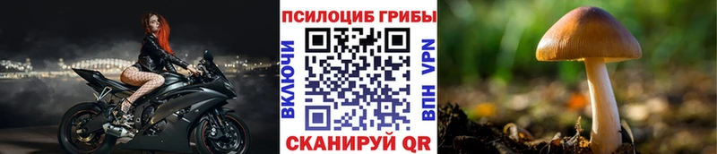 Галлюциногенные грибы MAGIC MUSHROOMS  Купить  Пошехонье 